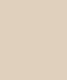Comfort Stretch Fly Front Shorts-Canvas - Image 4