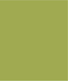Comfort Stretch Pull-On Skort-Mintleaf - Image 5