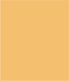 Cotton Gauze Button-Front Cover-Up With Roll-Up Sleeves-Sunkissed - Image 5