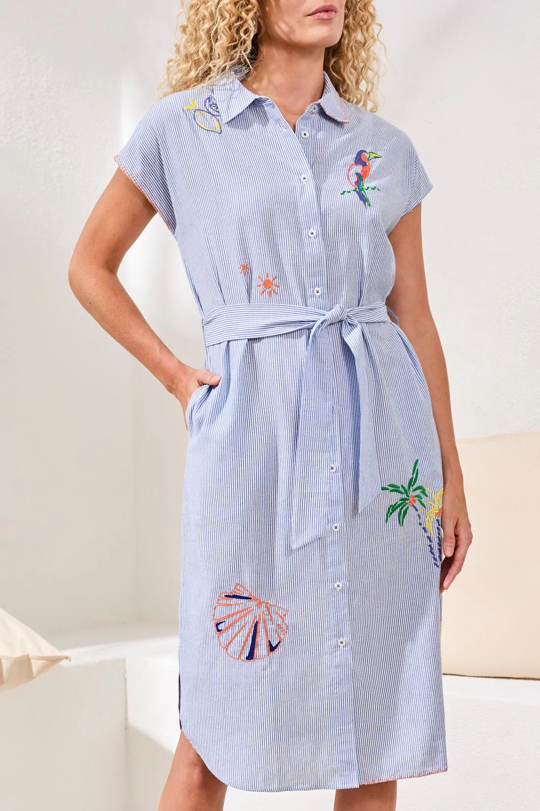 Embroidered Stripe Cotton Button-Front Belted Shirt Dress-blue - Image 2