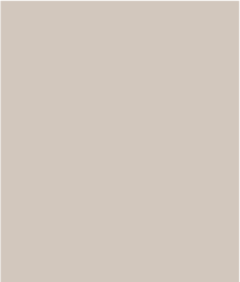 Techno Lux Mock Neck Contrast Piping-Sanddune - Image 5